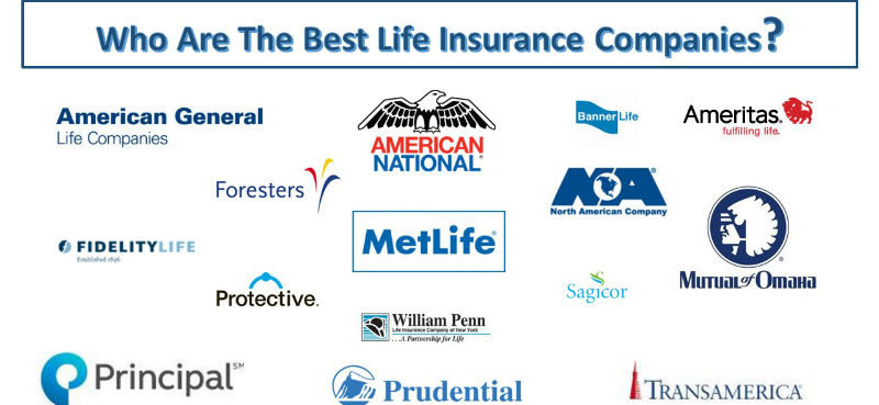 Life Insurance Companies